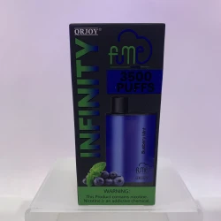 Fume Infinity Blueberry Mint 3500 Puffs