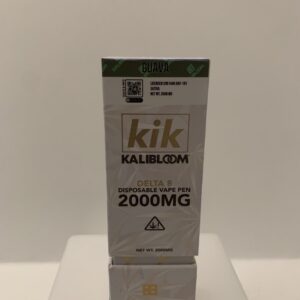 kik Disposable Two Gram Guava