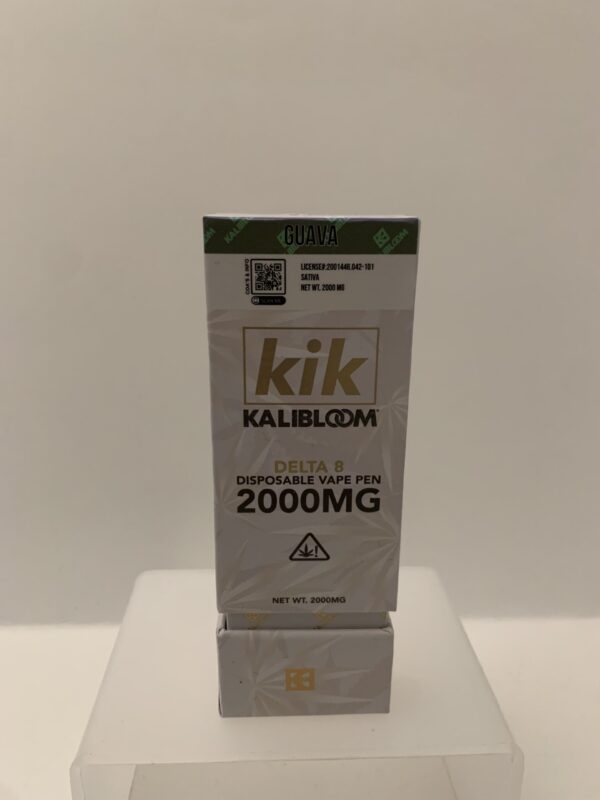 kik Disposable Two Gram Guava
